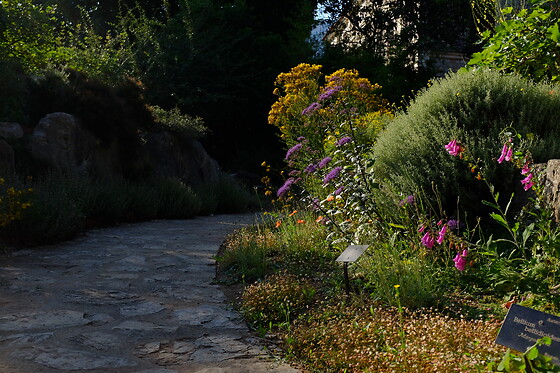 JARDIN BOTANICO DE SOLLER - photo 5