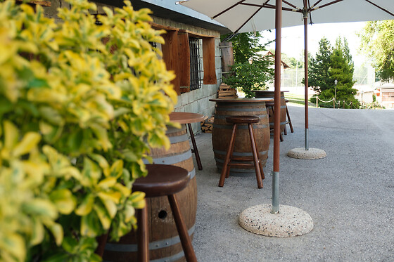 Albergo MiraMonti - photo 4