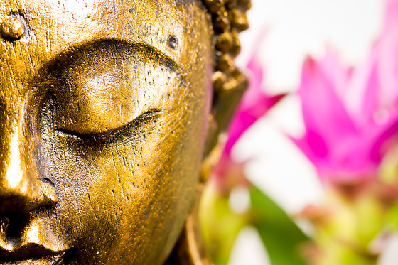 ZEN LIFE - photo 16