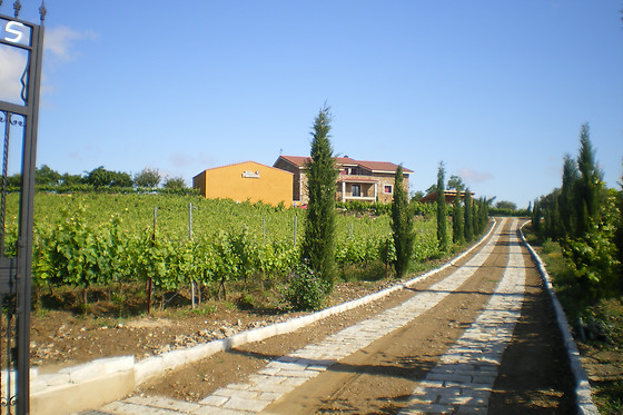 BODEGA VIÑA PLACENTINA - photo 3