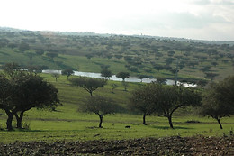Herdade do Monte Outeiro