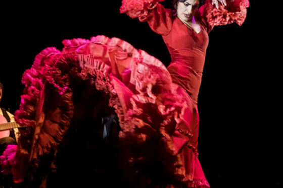 TEATRO FLAMENCO GRANADA - photo 13
