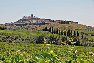 Uma refeição na adega para 2 | J Portugal Ramos Wines II & Spirit em Estremoz