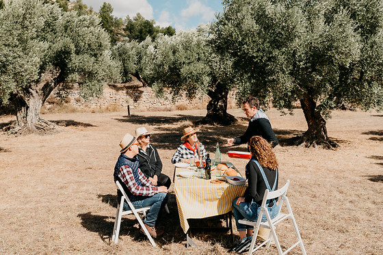 IDENTITAT EXTRA VIRGIN OLIVE OIL - photo 3