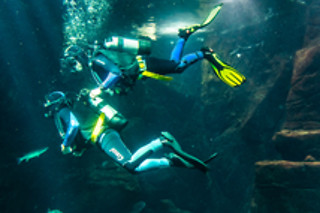Batismo de Mergulho |  Madeira Nature Experience em Porto Moniz