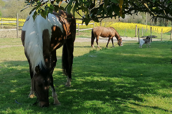 Au clos du lit - photo 9