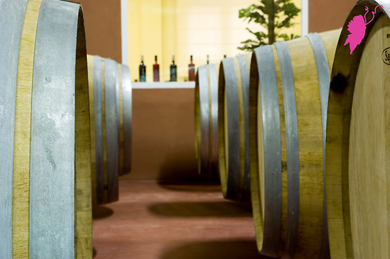 PAGO DE LAS ENCOMIENDAS VIÑEDOS Y BODEGAS - photo 0