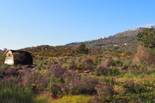 Uma noite em Camping Pod para 2 em Quinta do Maral Espaço Naturista em Marvão (Portalegre)