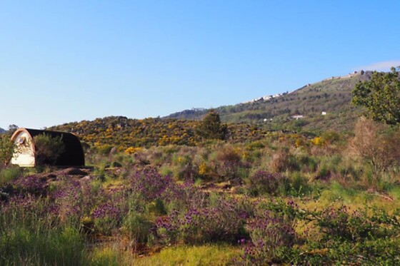 Uma noite em Camping Pod para 2 em Quinta do Maral Espaço Naturista em Marvão (Portalegre)