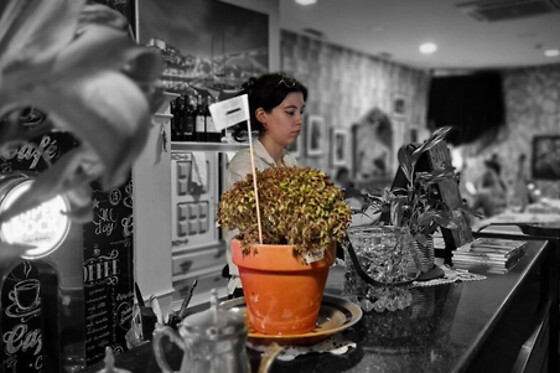 Jantar com fado ao vivo para 2 no Fado Português em Vila Nova de Gaia (Porto)