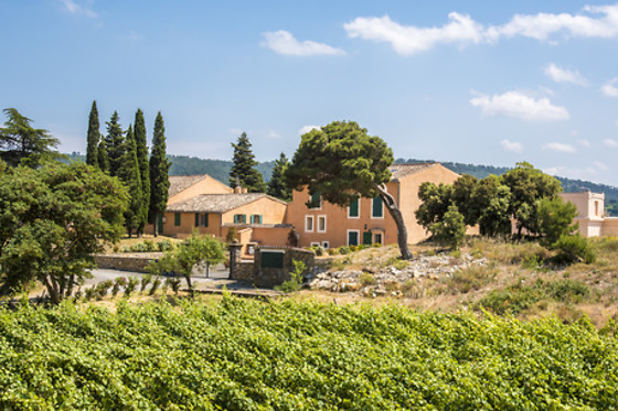 Château Cicéron - photo 16