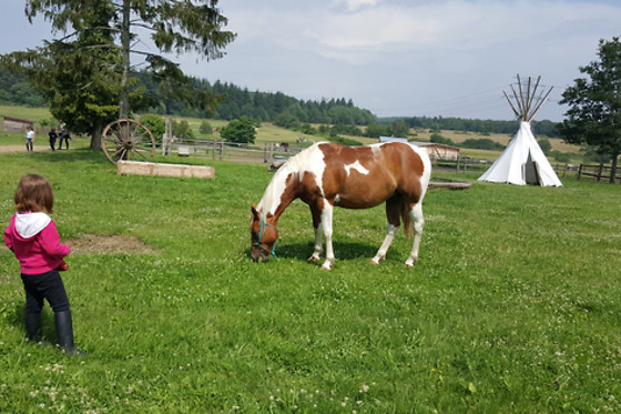 Cowboy Legend Ranch - photo 1