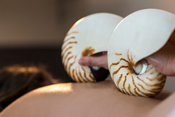 ESTETICA NATURAL RAQUEL TORRES - photo 15
