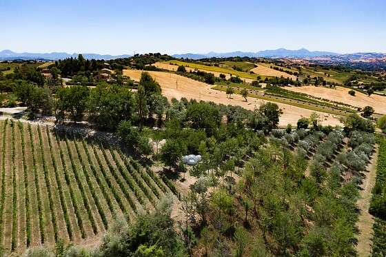 La Bolla del Borgo - photo 3