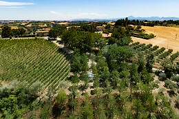 La Bolla del Borgo