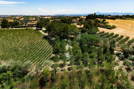 La Bolla del Borgo - photo 7