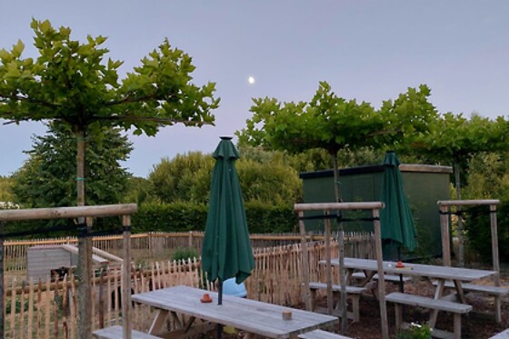 Camping stal 't Bardehof - photo 2