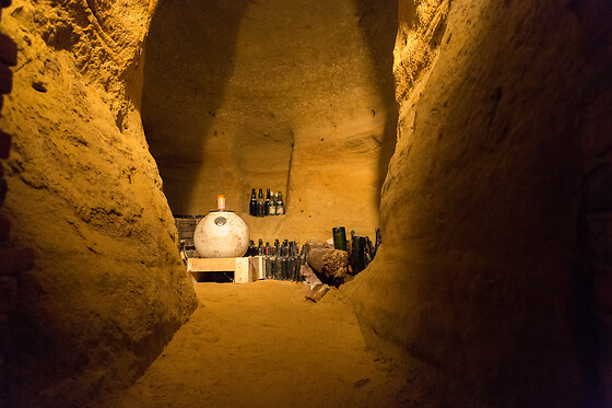 Bajaj - Cantina & Agriturismo - photo 5