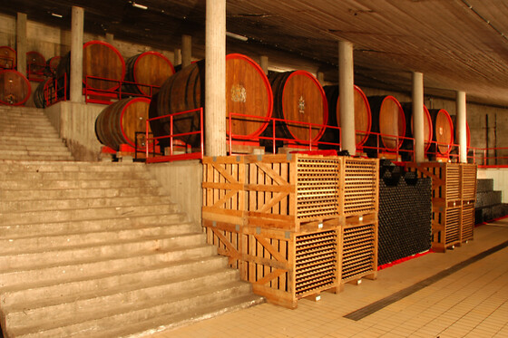 Antichi Vigneti di Cantalupo - photo 7