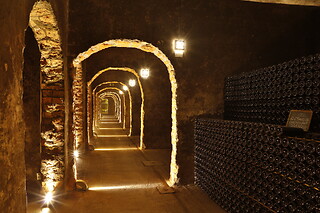 Prova de Vinhos para 2 | Caves Messias, Mealhada (Aveiro)