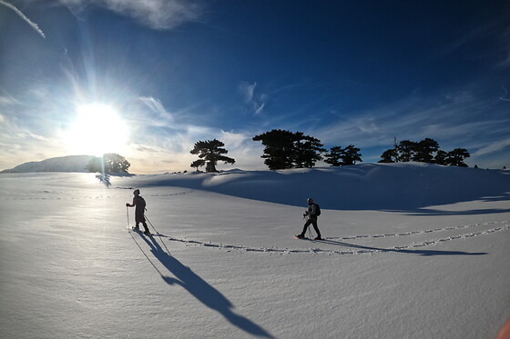 Wilderness - photo 0