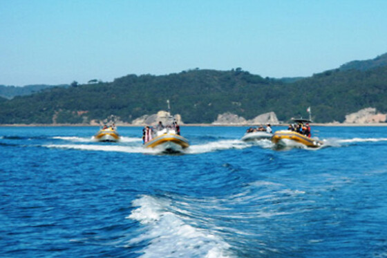 Passeio de Barco + Tour de Jipe na Arrábida | 1 Pessoa - 8h | Arrabida Life
