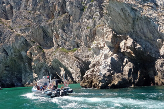 Coasteering na Arrábida | 1 Pessoa - 4h | Arrabida Life, Sesimbra (Setúbal)