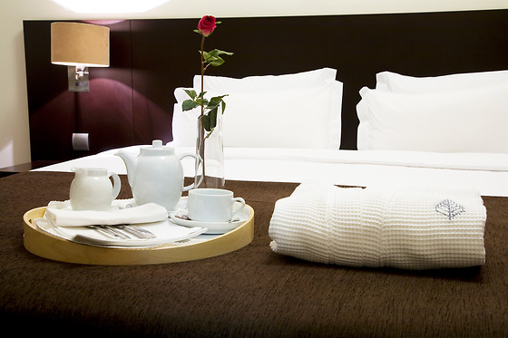 Hotel Conde d'Águeda - photo 4