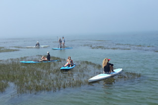 Aula de Paddle | SUPALentejo em Vila Nova de Milfontes