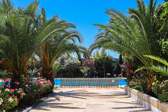 HOTEL LAS NAVAS - photo 5