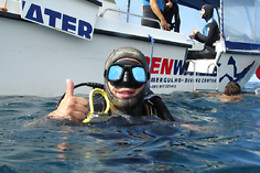 OPEN WATERS