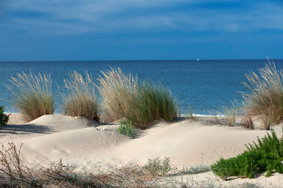 APARTAMENTOS LEO DELUXE Y APARTAMENTOS LEO PUNTA UMBRIA - photo 8