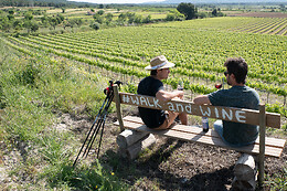 CELLER MAS VICENS