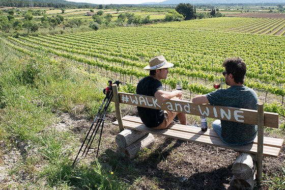 CELLER MAS VICENS - photo 1