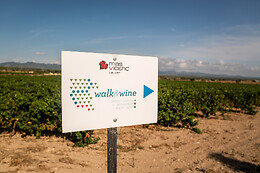 CELLER MAS VICENS