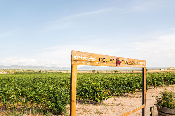 CELLER MAS VICENS - photo 3