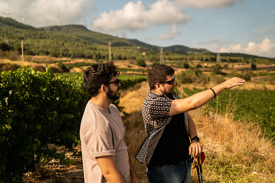 CELLER MAS VICENS - photo 6