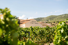 CELLER MAS VICENS