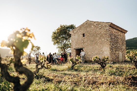 CELLER MAS VICENS - photo 13