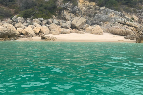 Tour de kayak em Lisboa | 1 Pessoa - 1 Dia inteiro | Rent a Fun