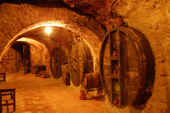 BODEGAS HISTORICA DON CARLOS - photo 3