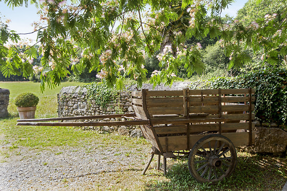 La Bastide Béarnaise Estratte - photo 15
