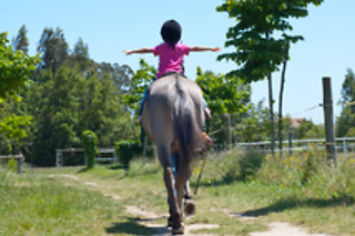 Baptismo a cavalo | 1 pessoa - 30 min | Escola Equestre de Aveiro