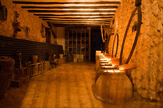 BODEGAS LOS PINOS - photo 0
