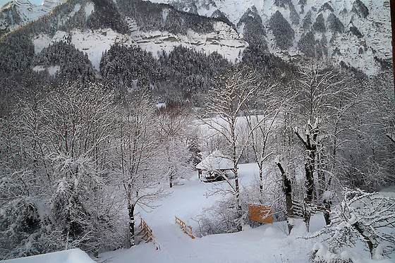 Gai Soleil - photo 9
