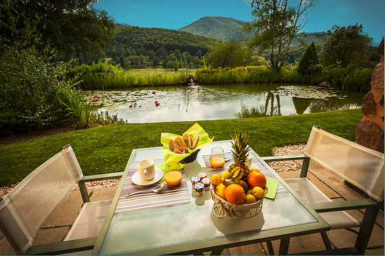 Domaine de Falgos - photo 7