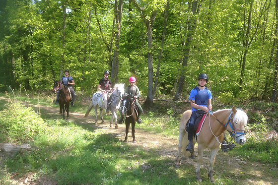 Les écuries du Shamrock - photo 0