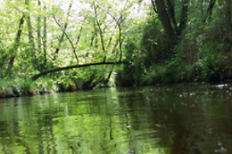 Canoe Land