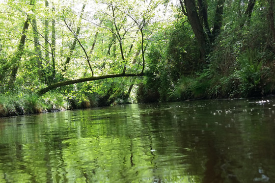 Canoe Land - photo 0