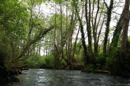 Canoe Land